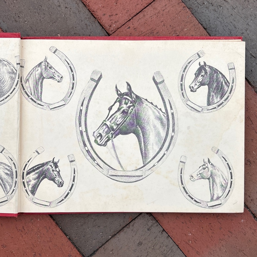 1953 Horses Across America Horse Jockey Equestrian Morgan Shetland Pony Ponies
